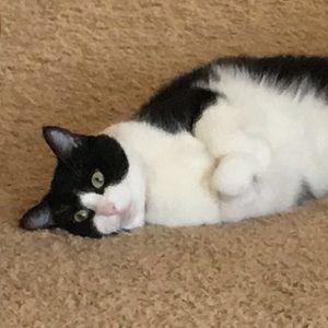 Meet your Posher, Cj